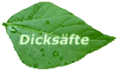 Dicks�fte
