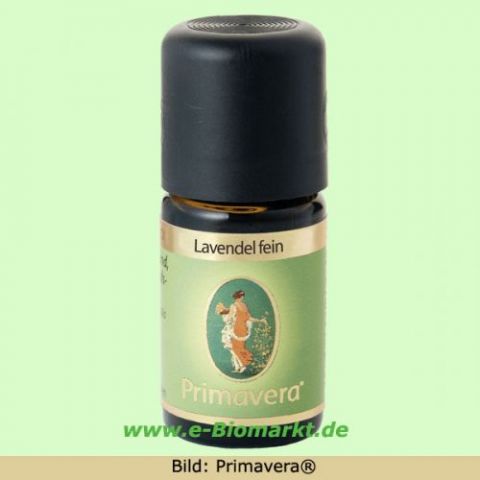 Lavendel fein (Primavera)