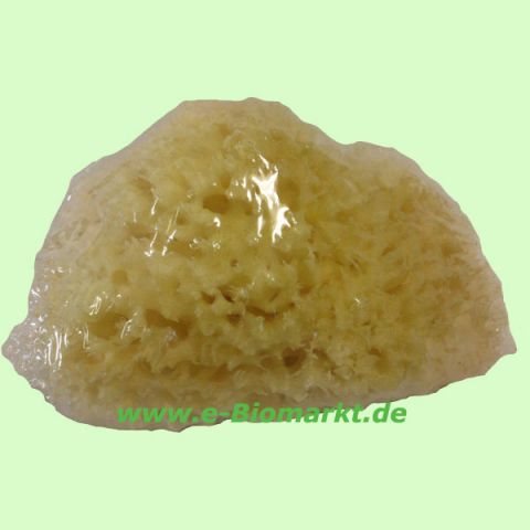 Natur-Badeschwamm - Woolschwamm (Lemmen - Naturschw�mme)