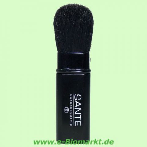 Reisepinsel (Sante)