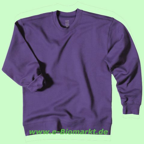 Sweatshirt lila (Living Crafts)