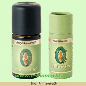 Angelikawurzel (Primavera)