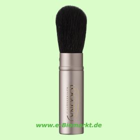 Pinsel (Logona)