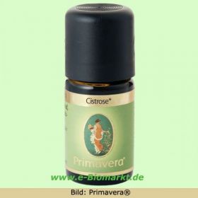 Cistrose bio (Primavera)