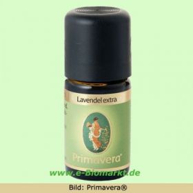 Lavendel extra (Primavera)