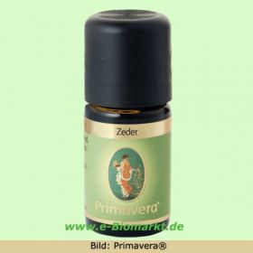 Zeder (Primavera)