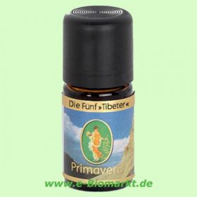 Clear Mind (Primavera)