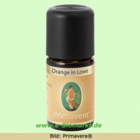 Orange in Love (Primavera)