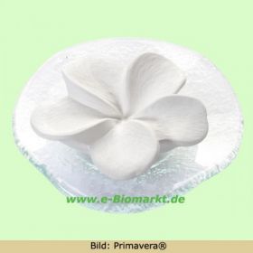 Duftstein Frangipani, mit gewelltem Glasteller (Primavera)