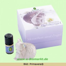 Aromabox Lichtengel (Primavera)