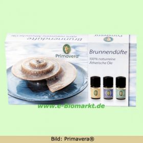 Geschenkset Brunnend�fte (Primavera)