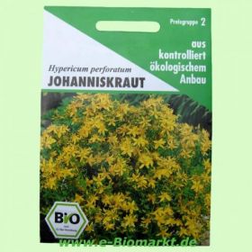 Johanniskraut, Hypericum perforatum (Aries)