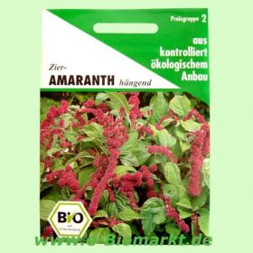 Zier-Amaranth, h�ngend (Aries)