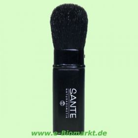 Reisepinsel (Sante)