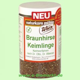 Braunhirse-Keimlinge (Werz)