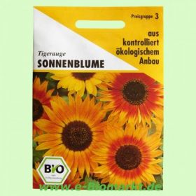 Sonnenblume Tigerauge, Heliantus annuus (Aries)