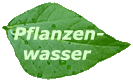 Pflanzenwasser