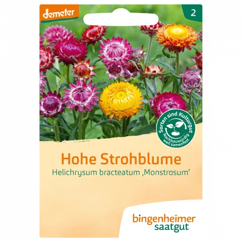 Hohe Strohblume (Bingenheimer Saatgut)