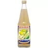 Zitrone-Ingwer-Saft (Beutelsbacher)