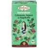Seelenfeuer - Echinacea, Ingwer & Hagebutte - Bio-Kräutertee (Shoti Maa)
