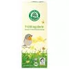 Frühlingsbote - Bio-Kräuterteemischung (Lebensbaum)