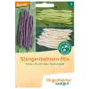 Stangenbohnen-Mix (Bingenheimer Saatgut)