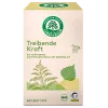 Treibende Kraft - Krutertee (Lebensbaum)