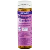 Echinacea & Sanddorn Lutschtabletten (Hoyer)