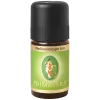 Nelkenknospe bio (Primavera)