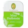Duftstein Mini (Primavera)