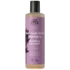 Soothing Lavender Shampoo (Urtekram)