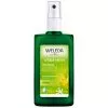 Citrus-Deodorant (Weleda)