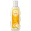 Hafer Aufbau-Shampoo (Weleda)