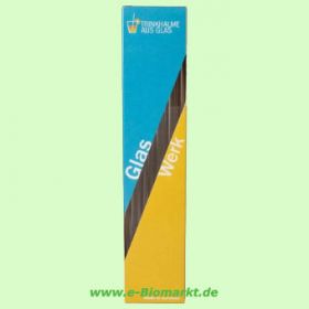 10 Trinkhalme aus Glas mit Reinigungsbrste (Memo)