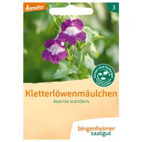 Kletterlwenmulchen (Bingenheimer Saatgut)