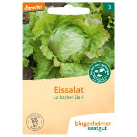 Eissalat Laibacher Eis 4 (Bingenheimer Saatgut)