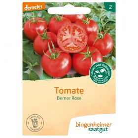Tomate Berner Rose (Bingenheimer Saatgut)