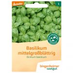 Basilikum mittelgroß Ocimum basilicum (Bingenheimer Saatgut)