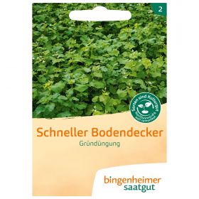 Grndngung Schneller Bodendecker (Bingenheimer Saatgut)