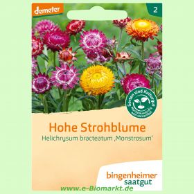 Hohe Strohblume (Bingenheimer Saatgut)