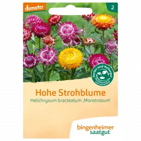 Hohe Strohblume (Bingenheimer Saatgut)