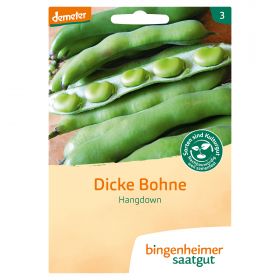 Dicke Bohne Hangdown (Bingenheimer Saatgut)