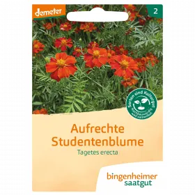 Studentenblume (Bingenheimer Saatgut)