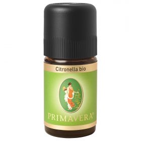 Citronella bio (Primavera)