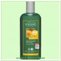 Volumen Shampoo Bier-Honig (Logona)